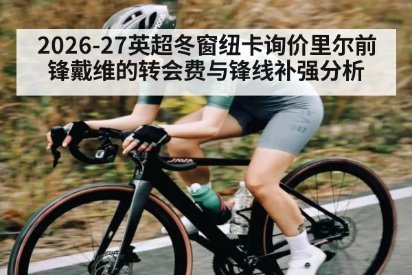 2026-27英超冬窗纽卡询价里尔前锋戴维的转会费与锋线补强分析